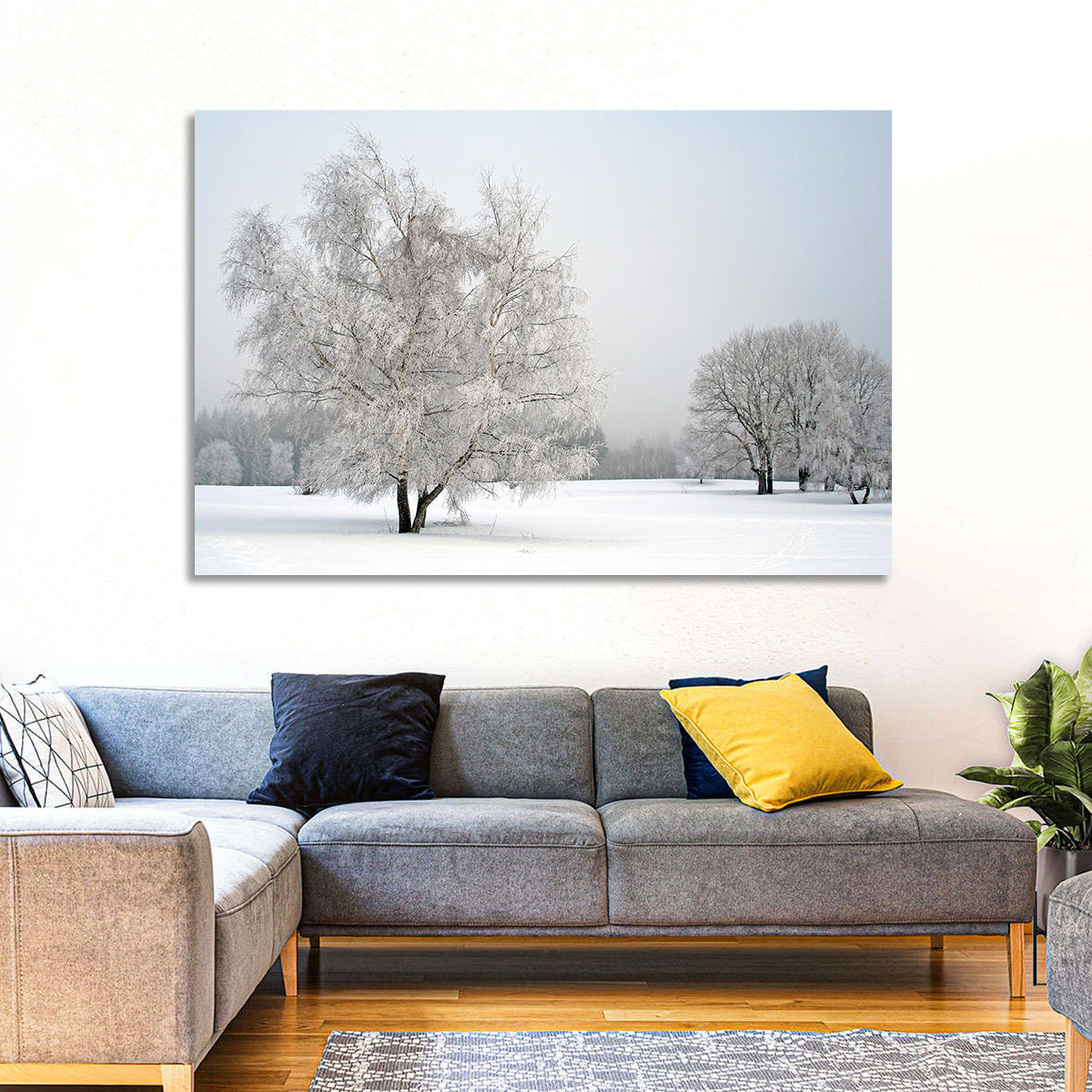 Frosted Birch Grove Wall Art in a room, landscape