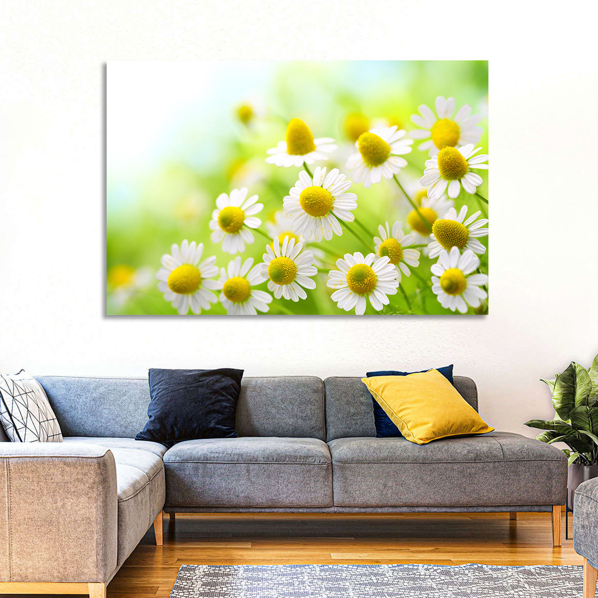 Chamomile Close-up Wall Art in a room, landscape