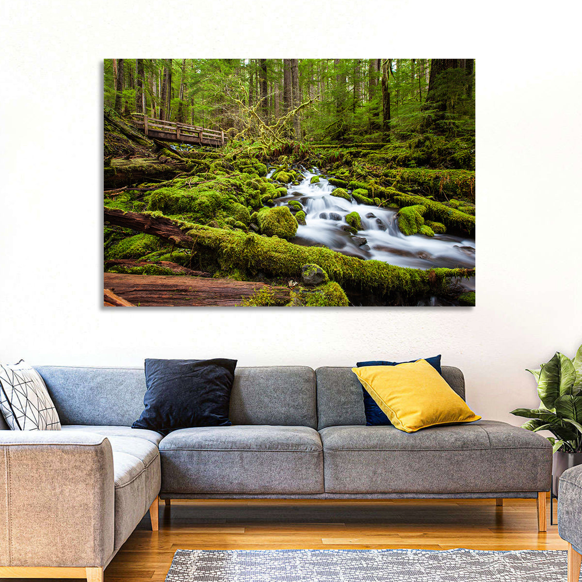 Mossy Cascade Forest Stream Wall Art in a room, landscape