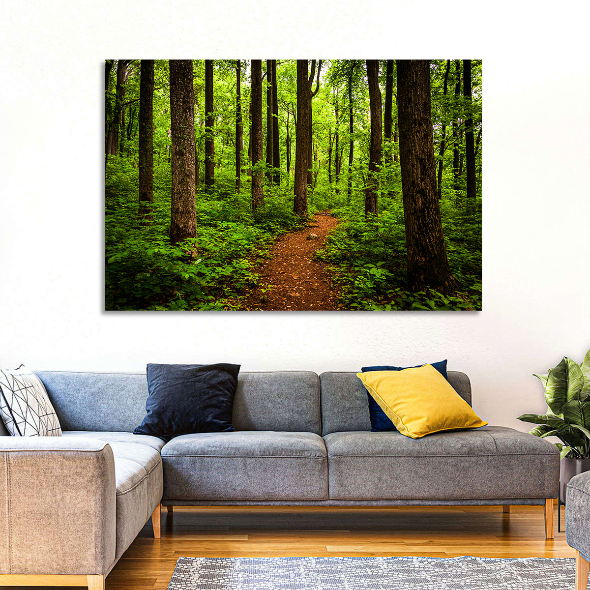 Shenandoah National Park Trail Wall Art in a room, landscape