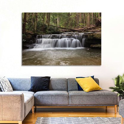 Tolliver Waterfall Wall Art