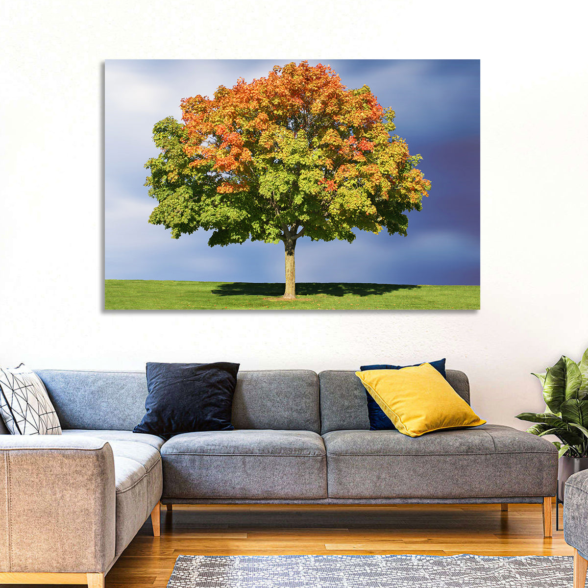 Maple with Split Foliage Wall Art in a room, landscape
