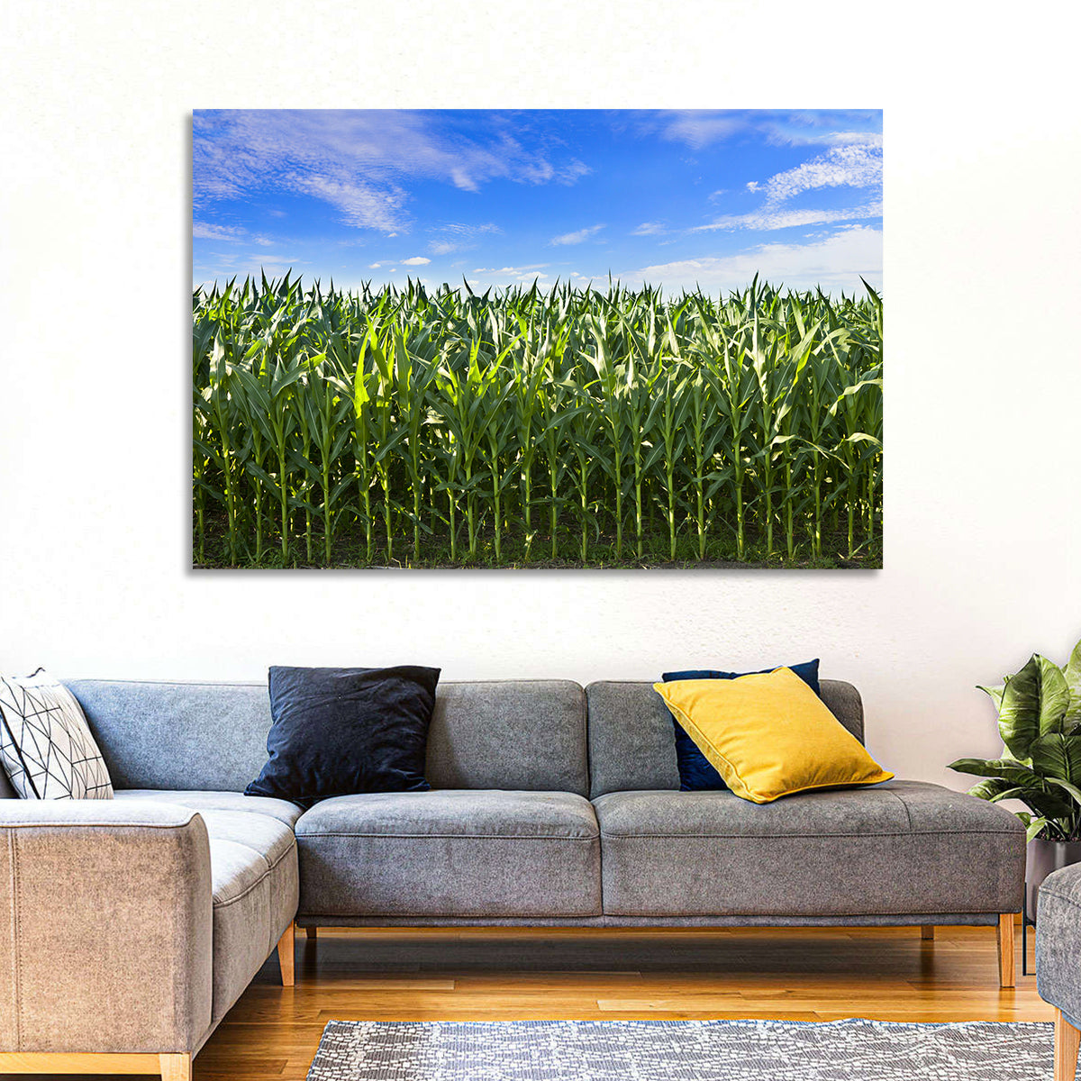 Green Corn Field Wall Art