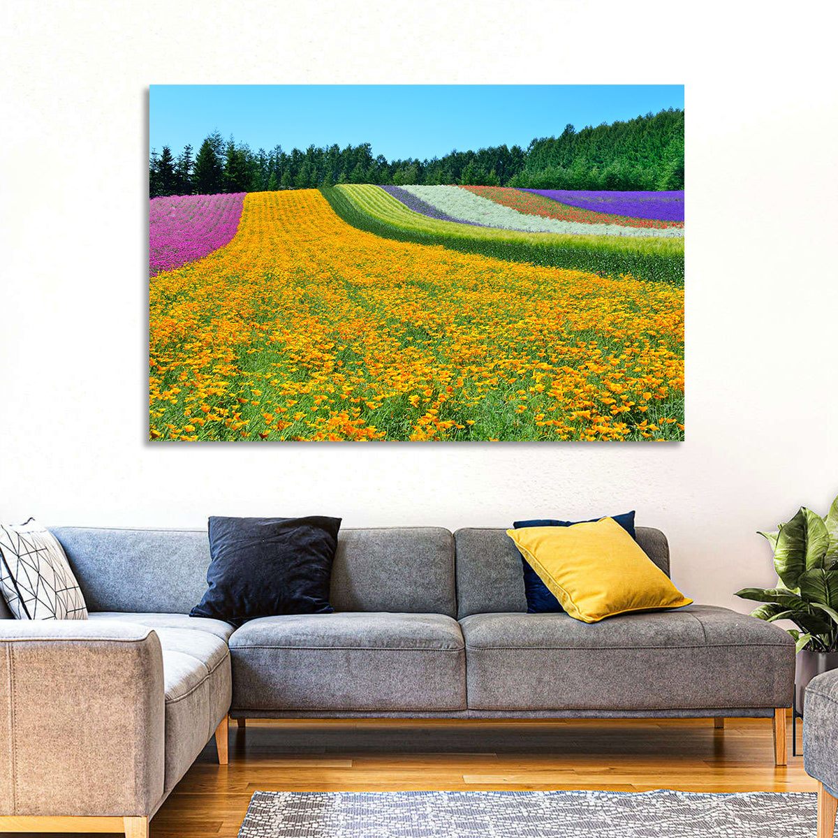Tomita Flower Fields, Nakafurano Wall Art in a room, landscape