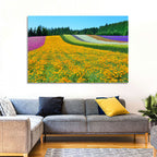 Tomita Flower Fields, Nakafurano Wall Art
