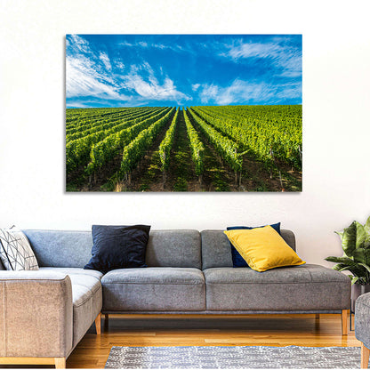 Luxembourg Vineyards Wall Art