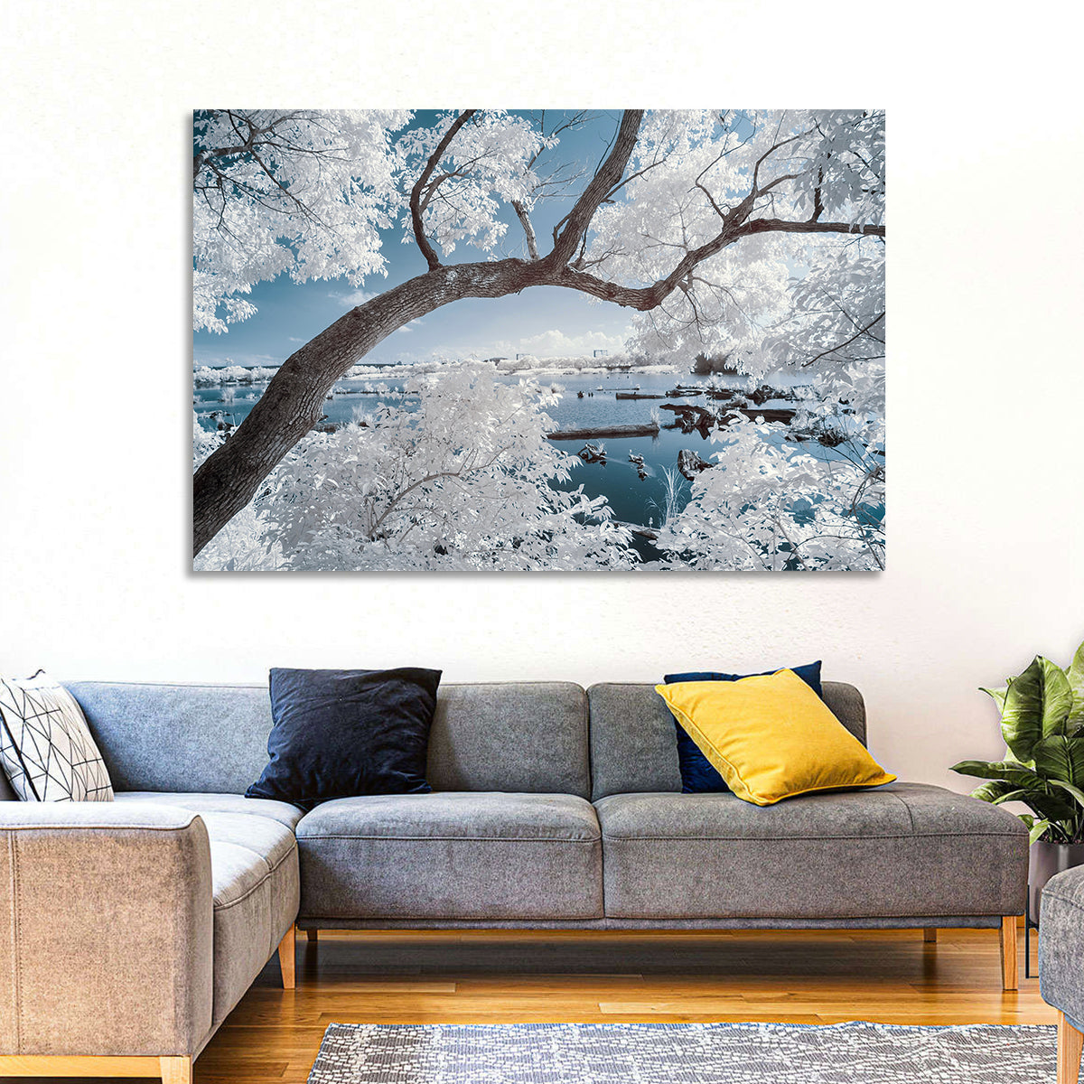 Curving Winter Tree Over Lake Wall Art in a room, landscape
