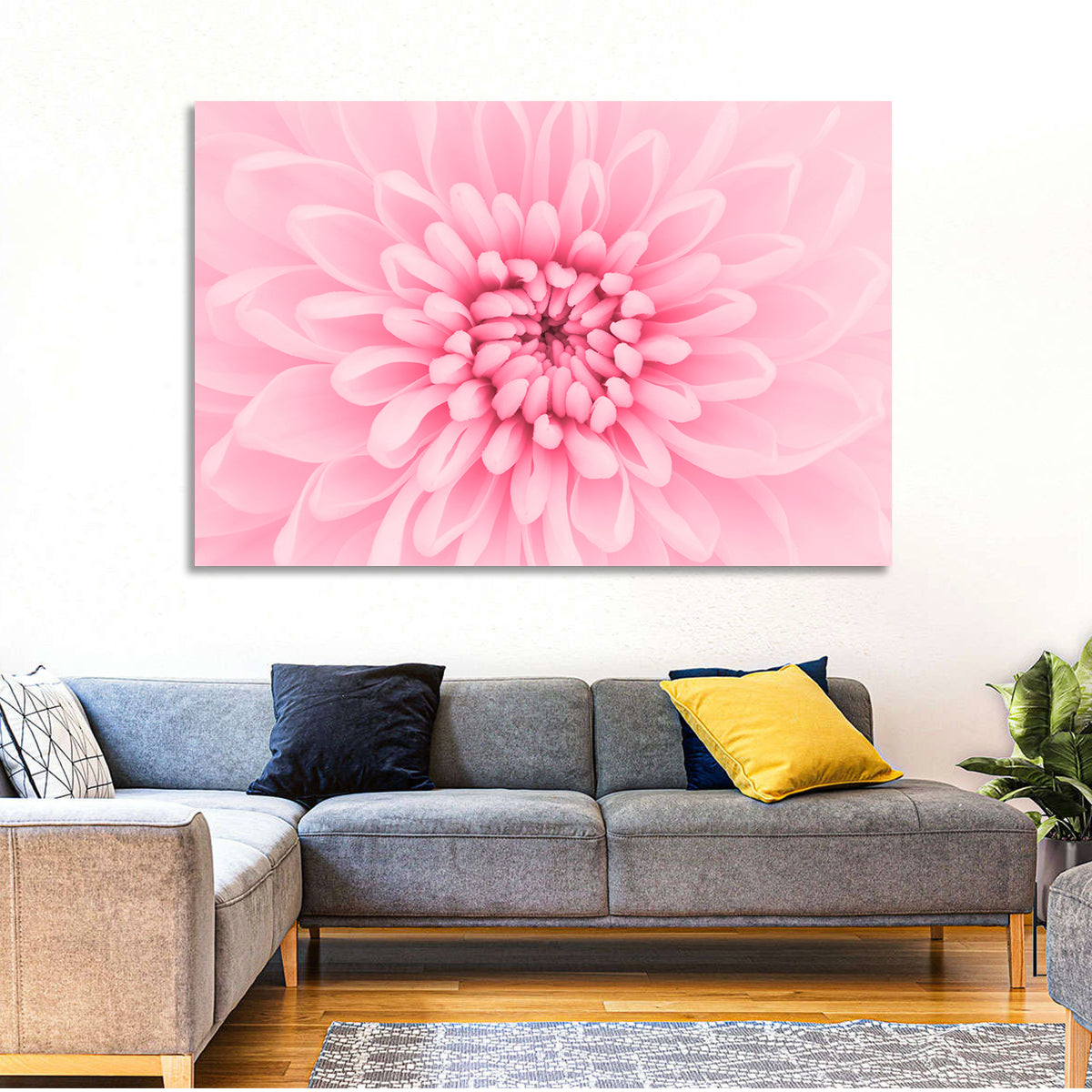 Pink Chrysanthemum Close-up Wall Art in a room, landscape
