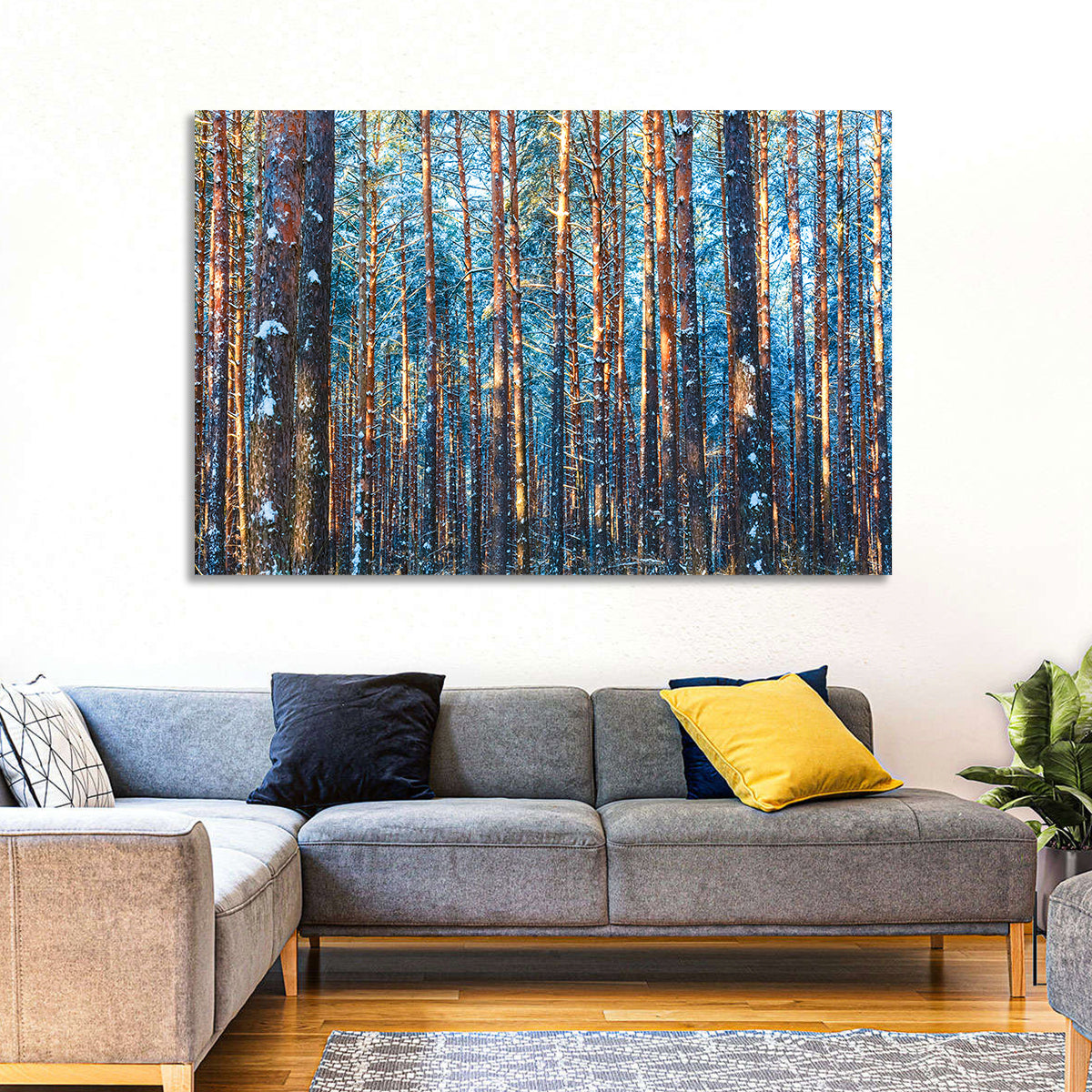 Golden Hour Winter Pine Forest Wall Art in a room, landscape