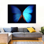 Blue Butterfly Macro Study Wall Art