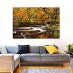 Dartmoor Autumn River in Golden Forest Wall Art