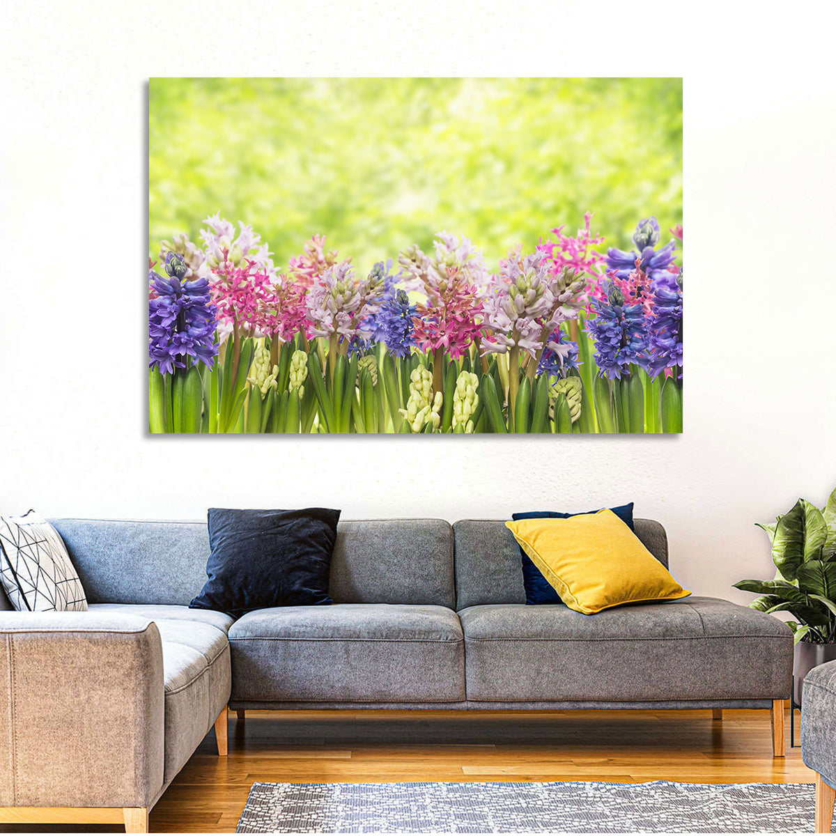 Hyacinth Cluster in Bloom Wall Art in a room, landscape