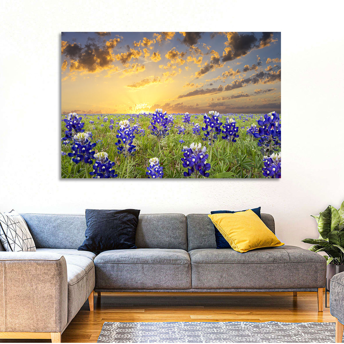 Bluebonnet Field at Sunset Wall Art