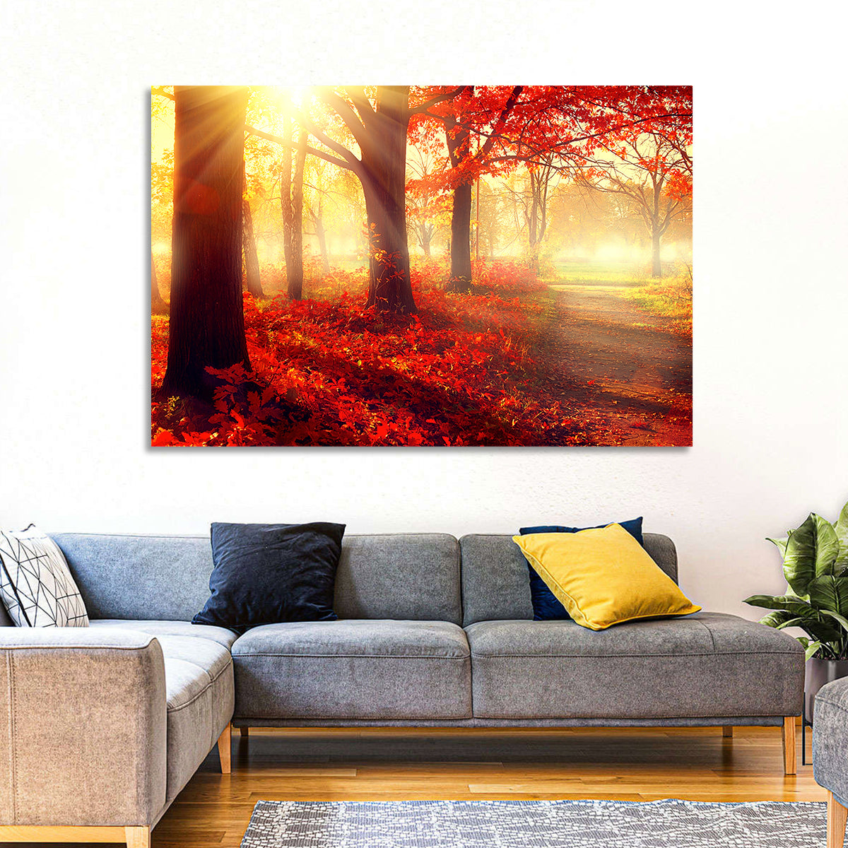 Sunlit Forest Path Wall Art