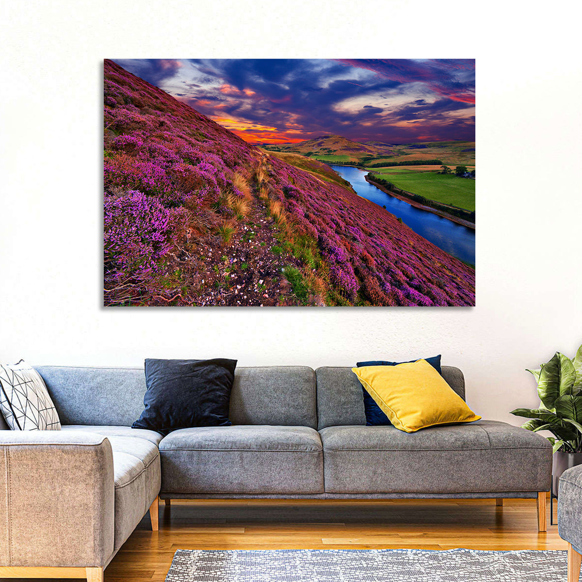 Pentland Hills Heather, Edinburgh Wall Art in a room, landscape