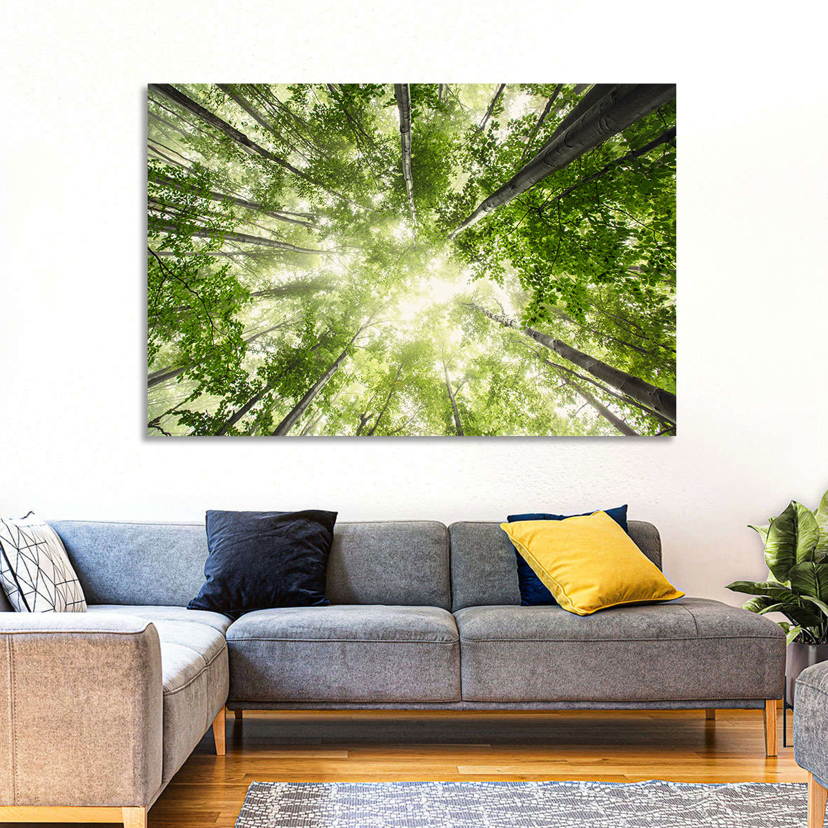 Spring Canopy in Morning Mist Wall Art in a room, landscape