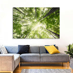 Spring Canopy in Morning Mist Wall Art