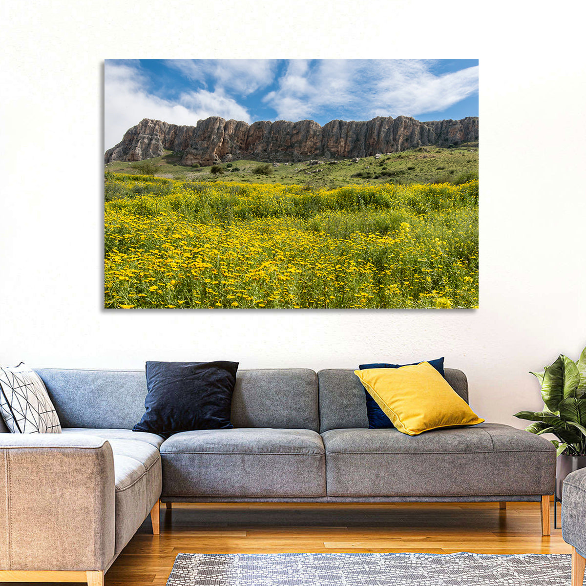 Mount Arbel Wildflower Meadow Wall Art