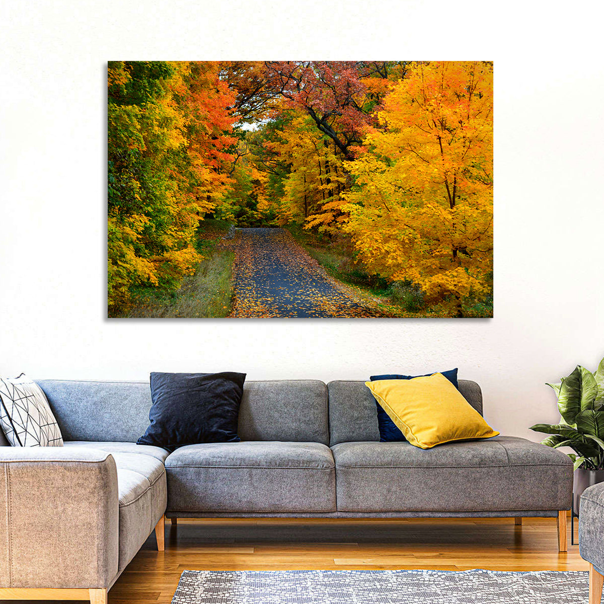 Autumn Road Through Wisconsin Park Wall Art in a room, landscape