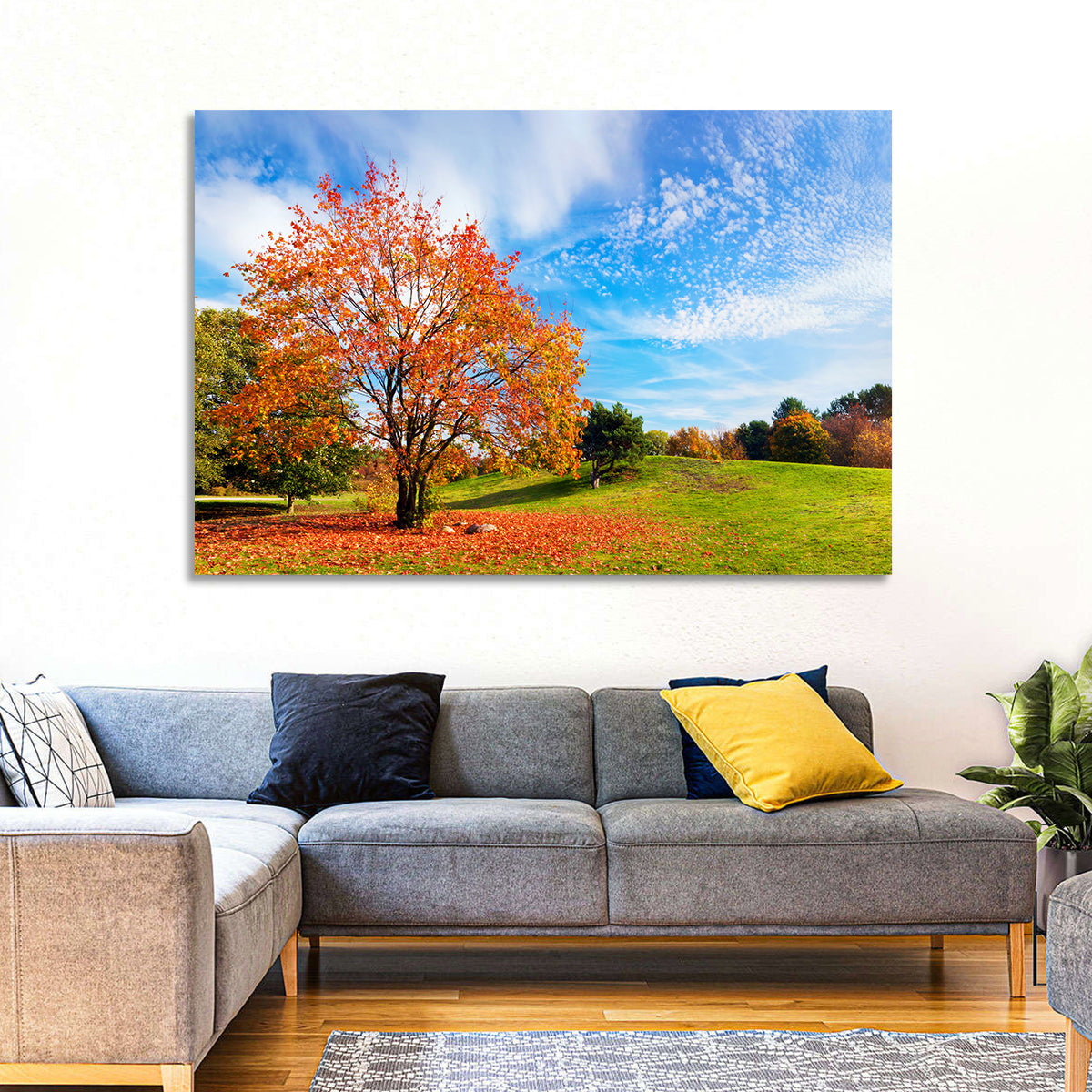 Orange Maple on Rolling Hill Wall Art in a room, landscape