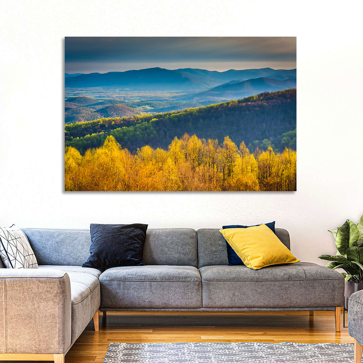 Shenandoah Golden Hour Ridge Wall Art in a room, landscape