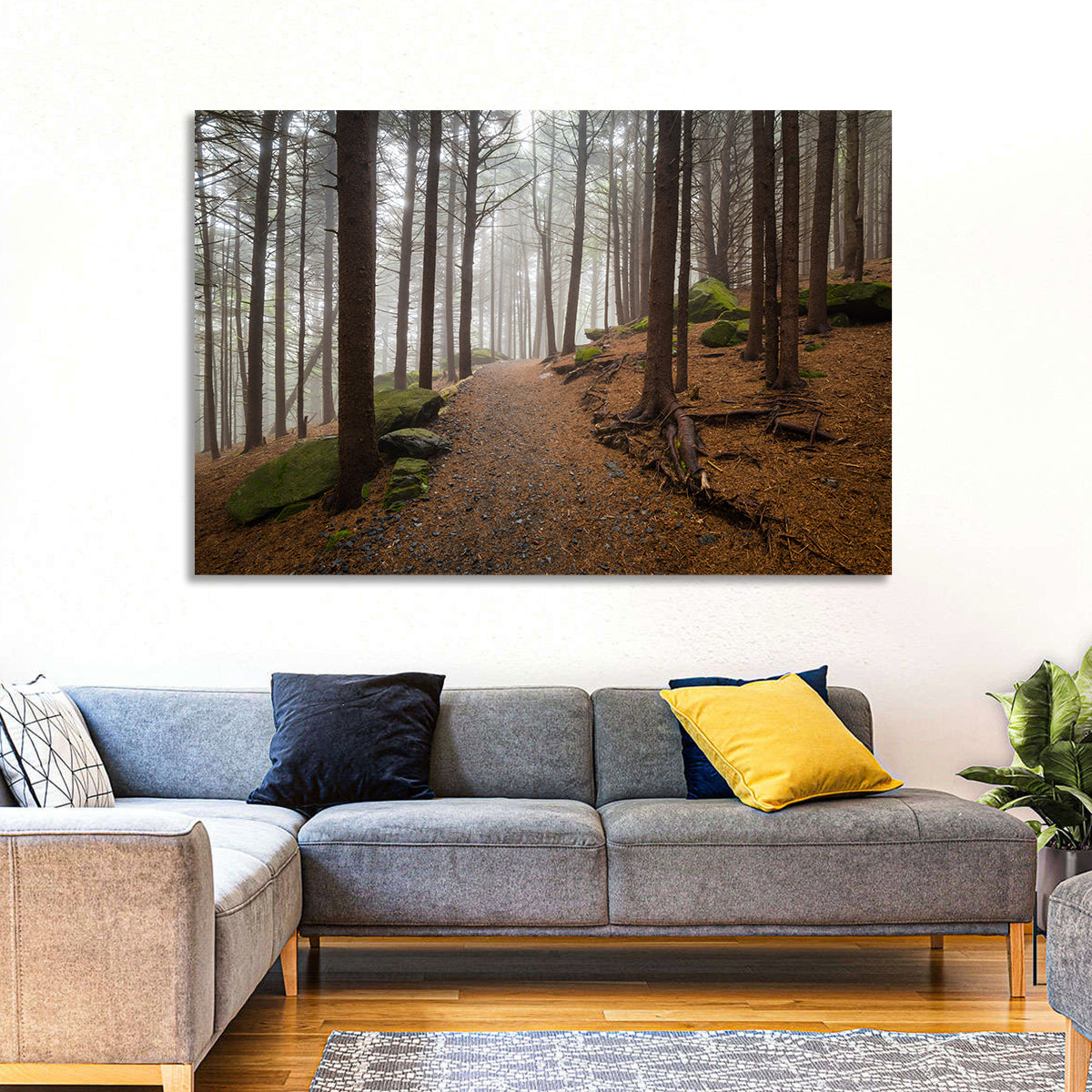 Misty Appalachian Trail Path Wall Art in a room, landscape