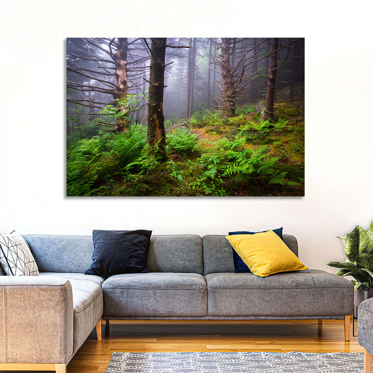 Misty Spruce-fir Trail Wall Art