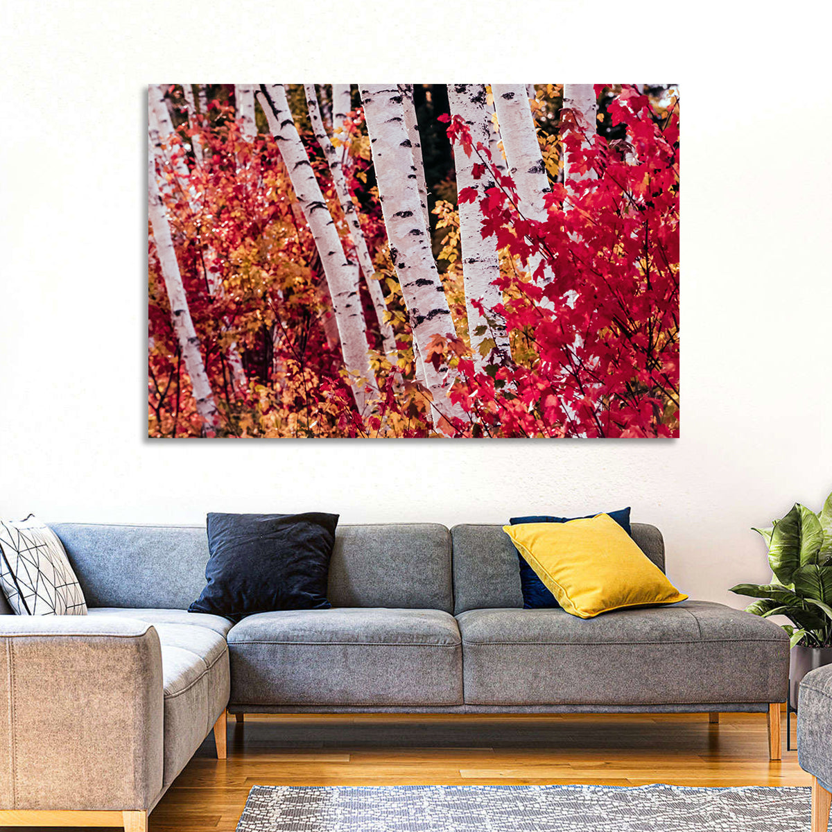 Autumn Birches with Crimson Maples Wall Art in a room, landscape
