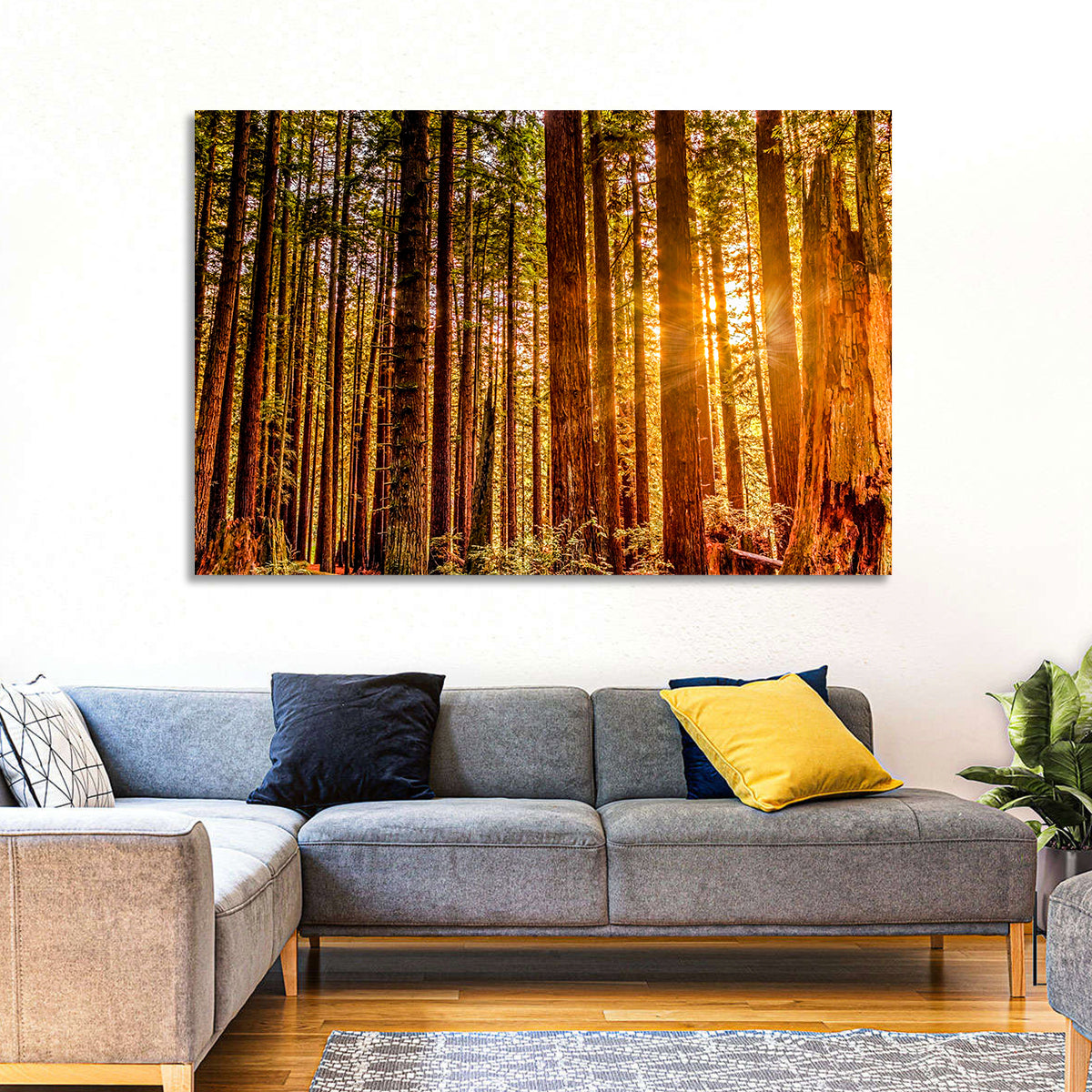 Golden Hour Redwood Sunburst Wall Art