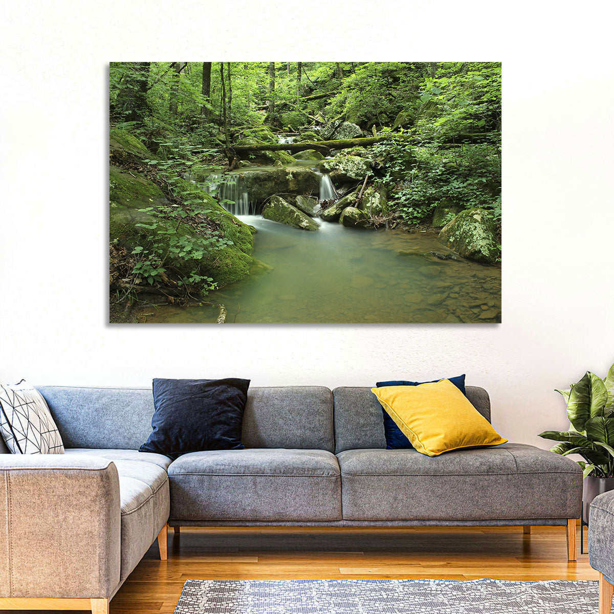 Arkansas Forest Stream Wall Art in a room, landscape