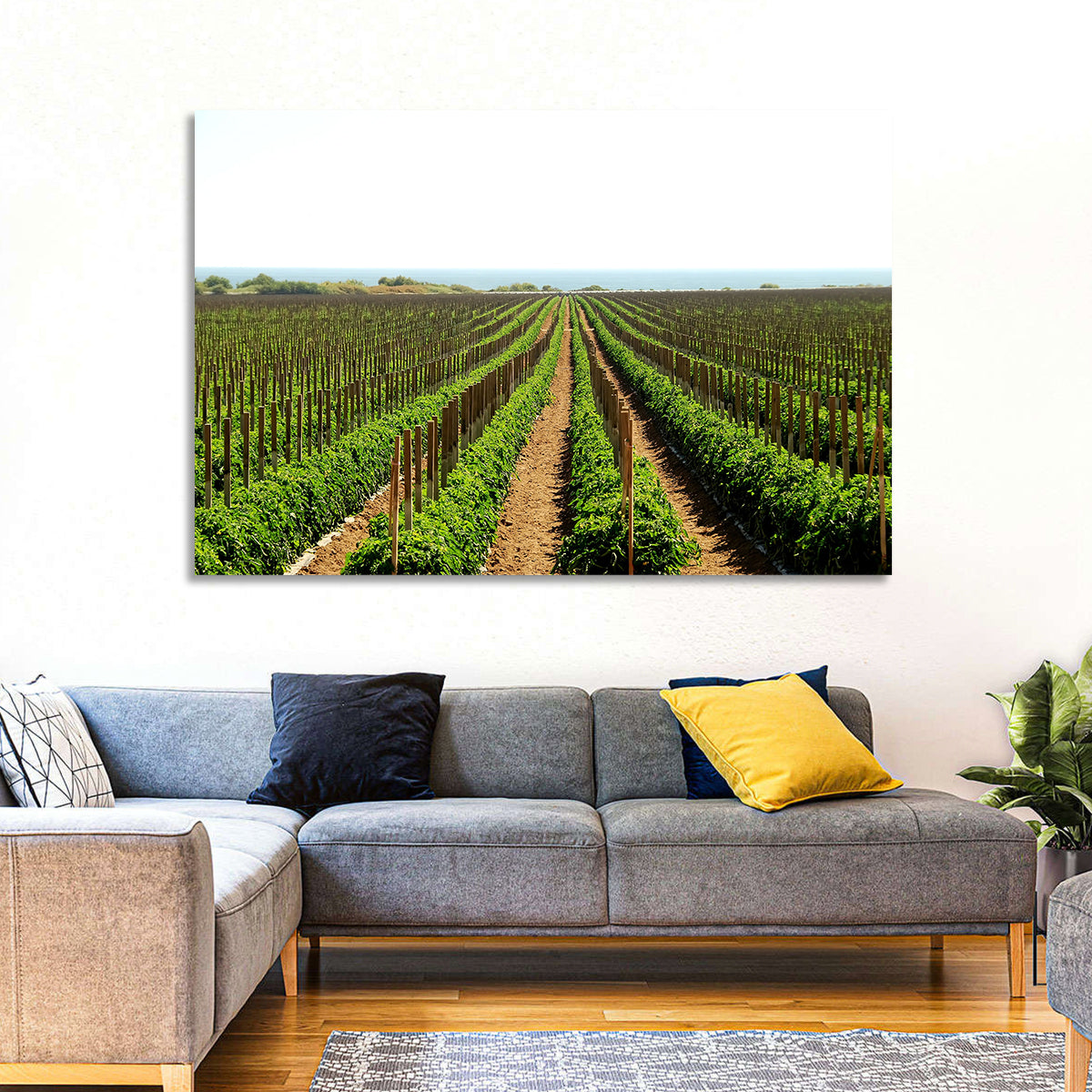 Tomato Fields Wall Art