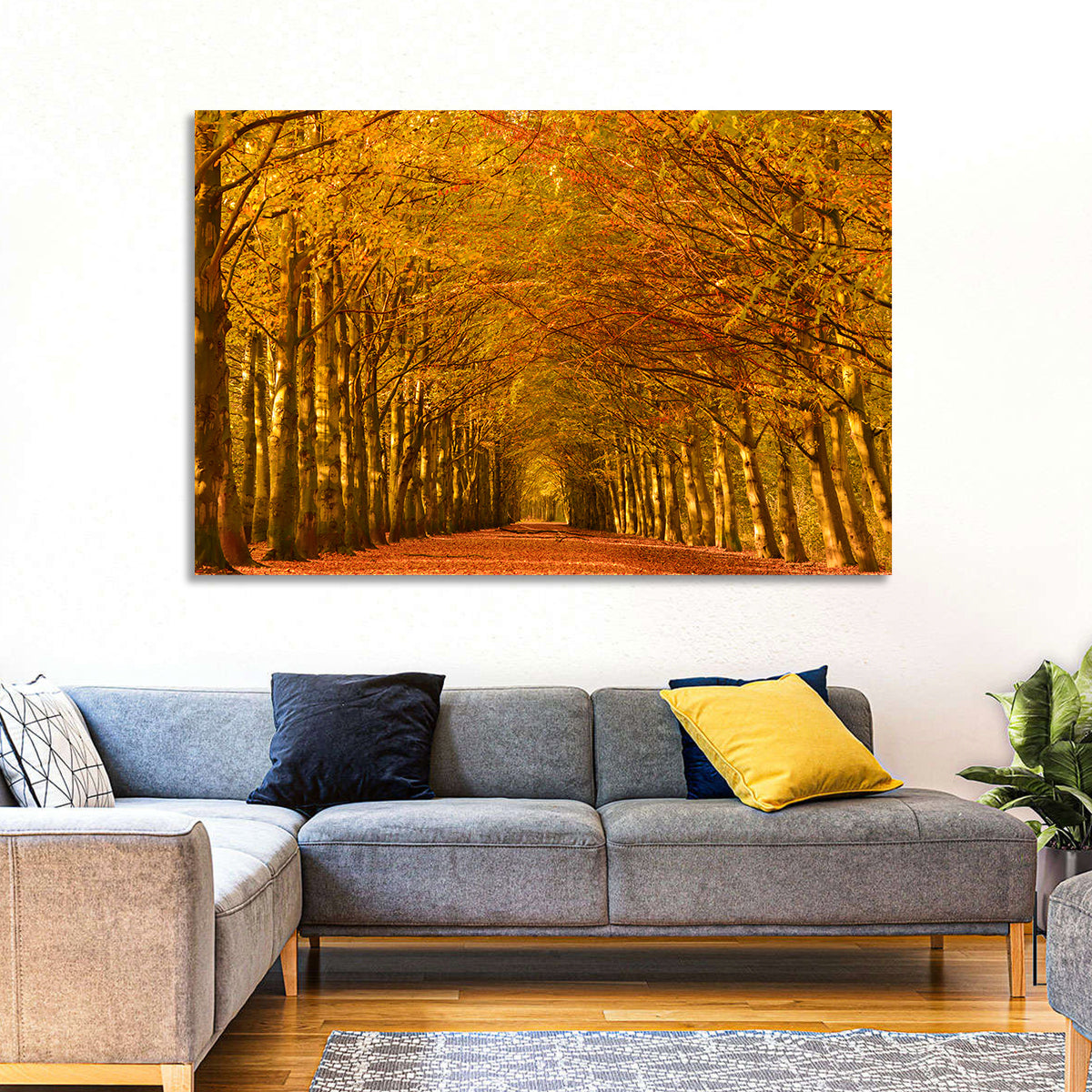 Golden Beech Tree Tunnel in Autumn Wall Art