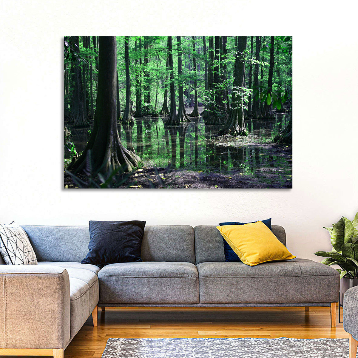 Congaree Swamp Reflection Wall Art in a room, landscape