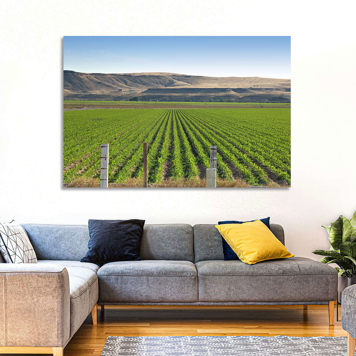 Idaho Corn Field Wall Art in a room, landscape
