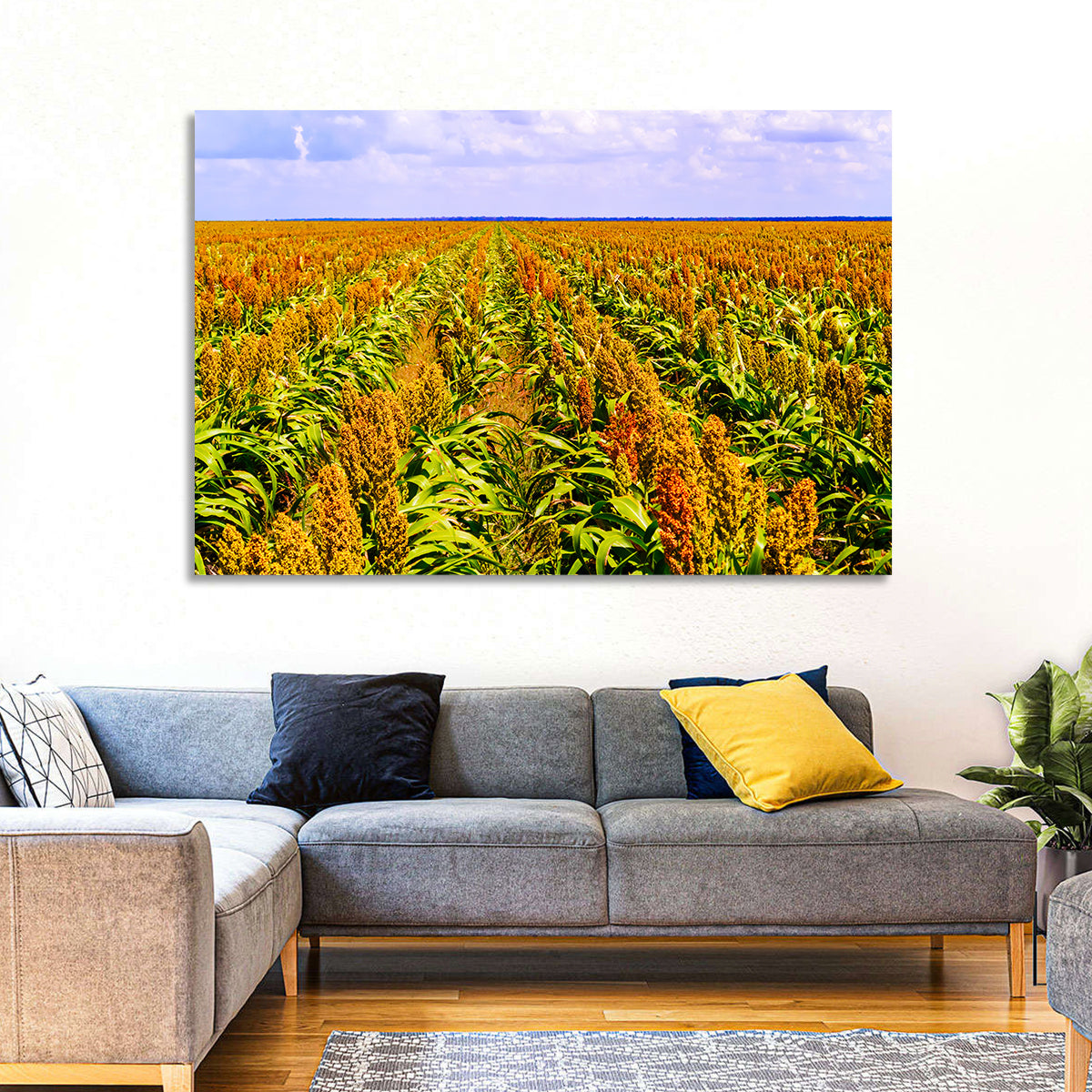 Sorghum Field Wall Art