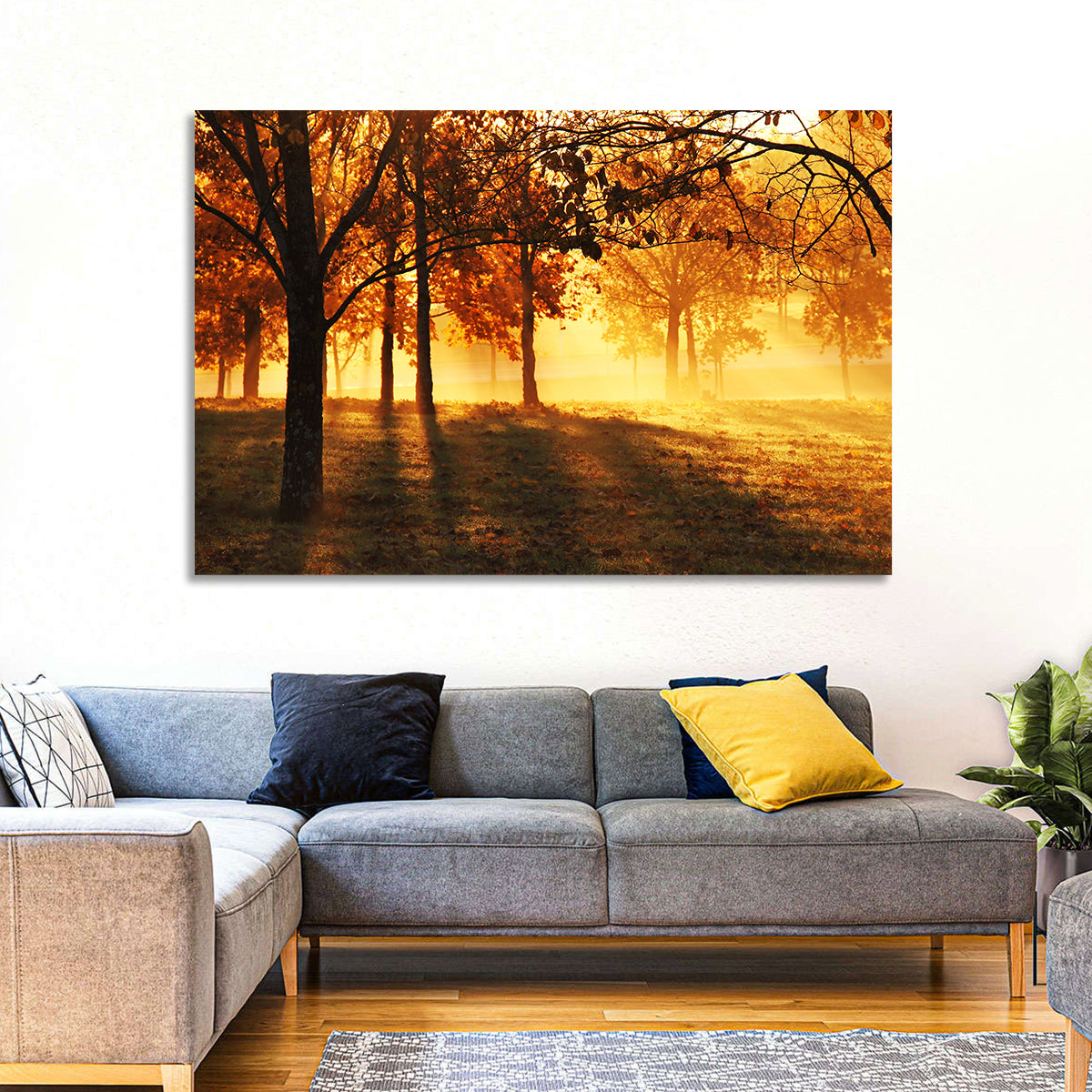 Autumn Sunbeams Through Fog Wall Art in a room, landscape