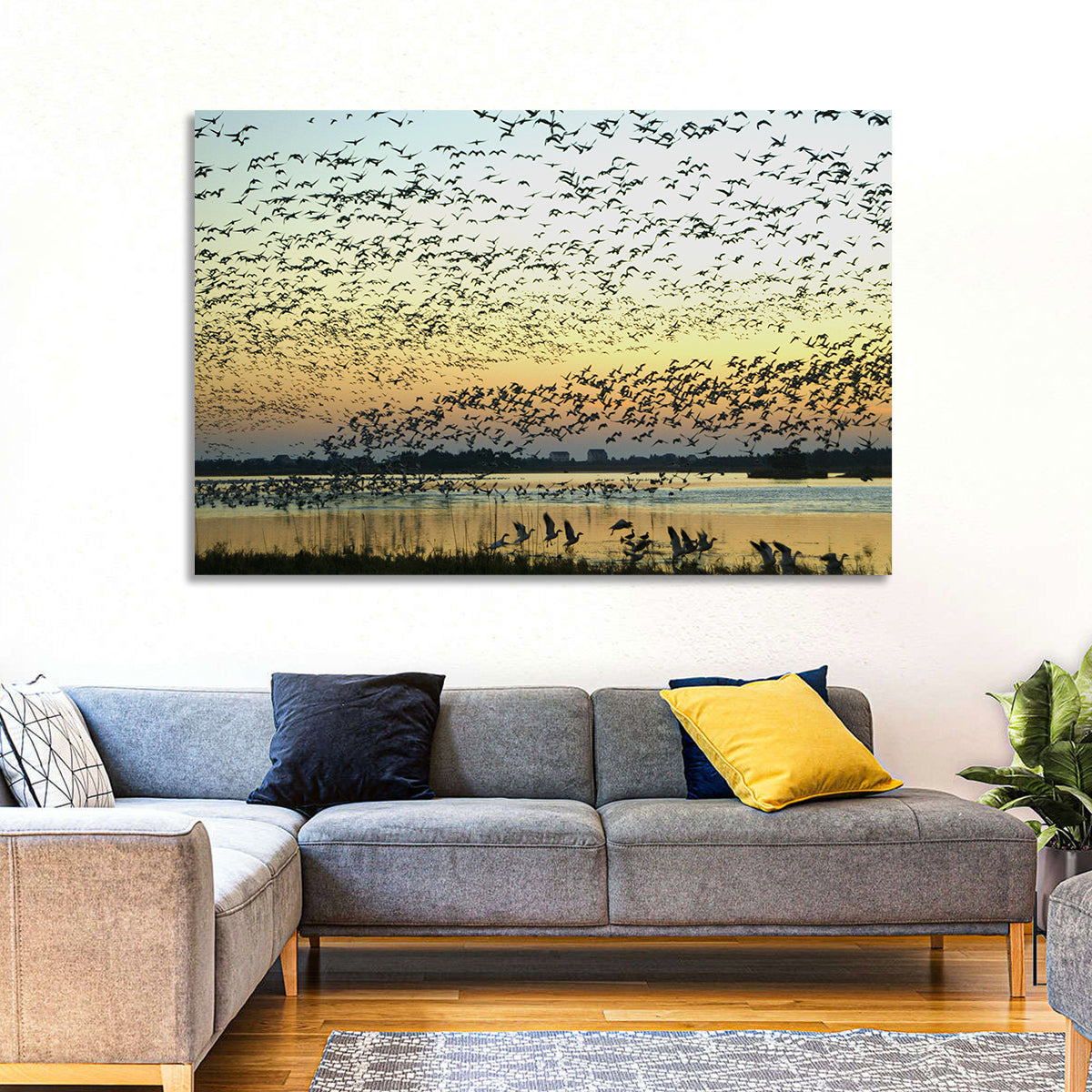 Snow Geese Over River Wall Art in a room, landscape