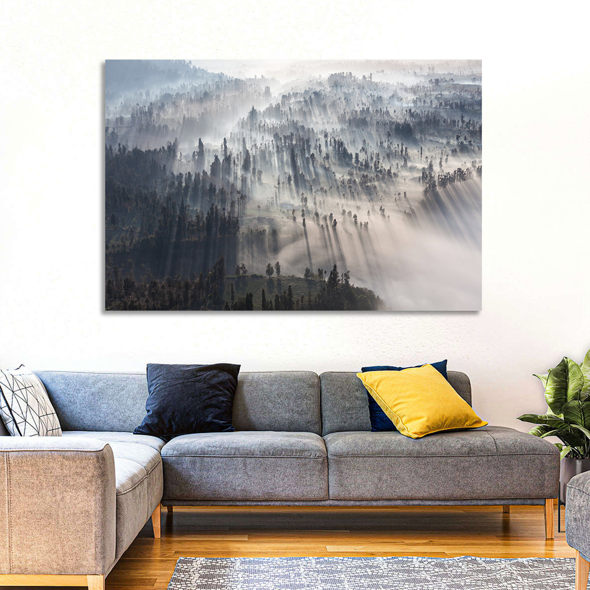 Misty Forest Sunrise Wall Art in a room, landscape