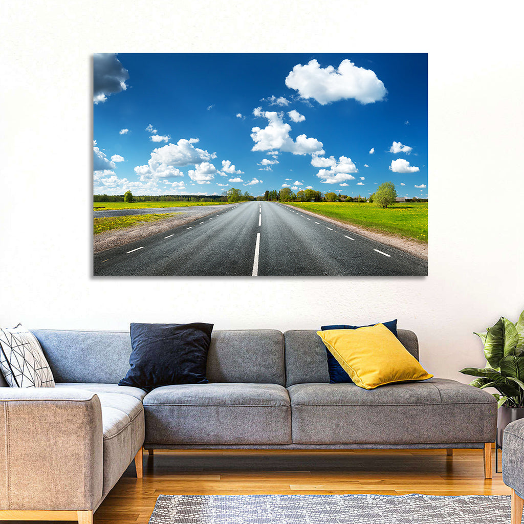 Asphalt Road Through Meadow Wall Art