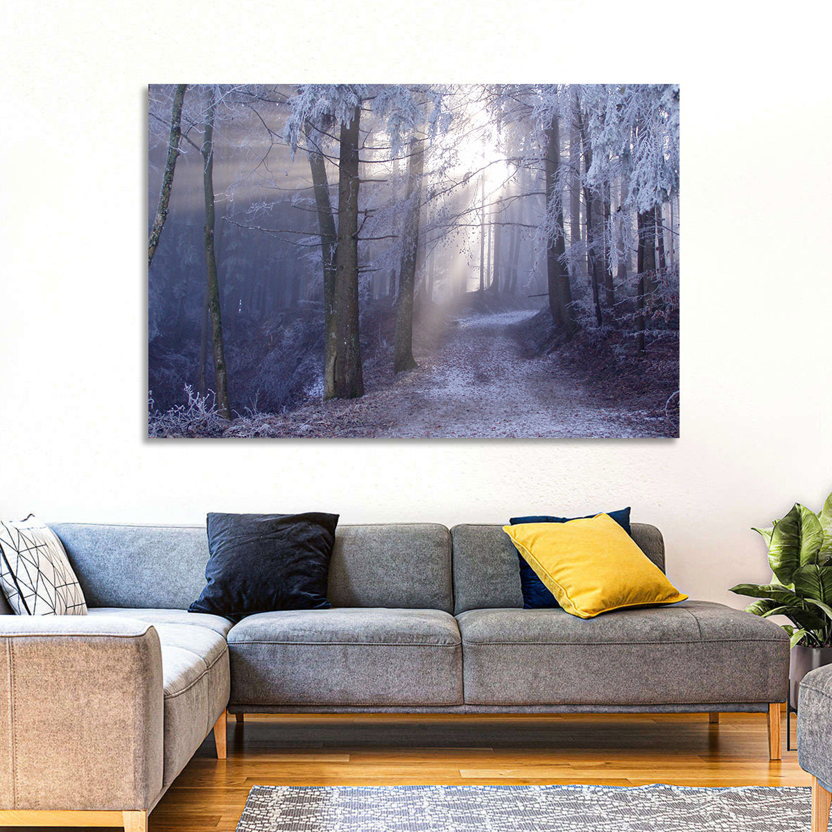 Frosted Forest Path at Dawn Wall Art in a room, landscape