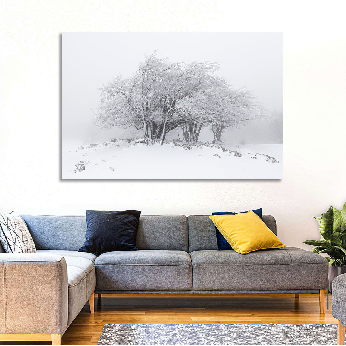 Snowy Winter Trees Wall Art