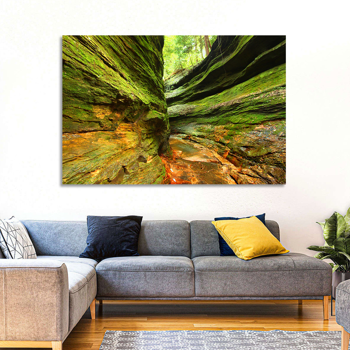 Turkey Run State Park Canyon Wall Art in a room, landscape