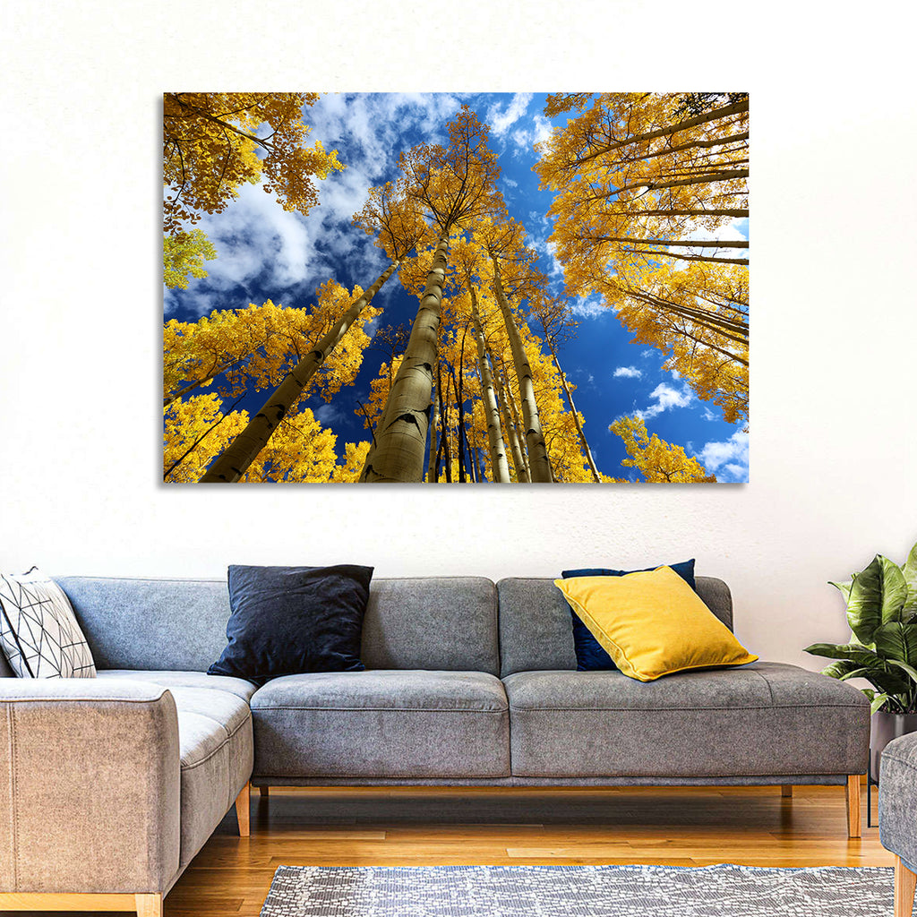 Golden Aspen Canopy View Wall Art