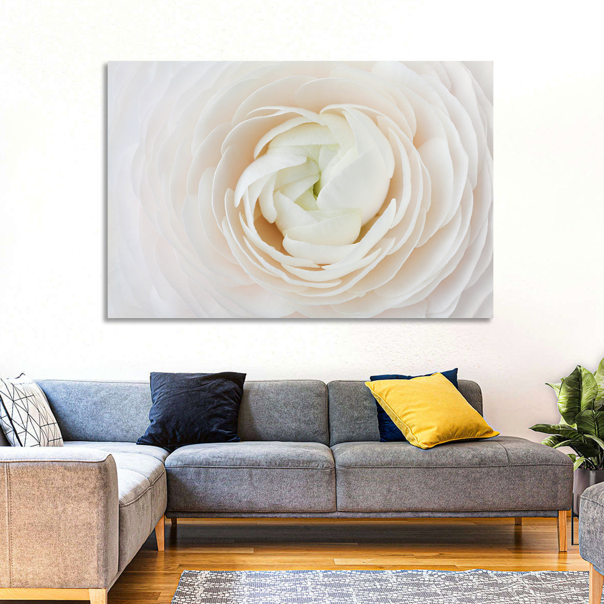 Peach Ranunculus Macro Bloom Wall Art in a room, landscape