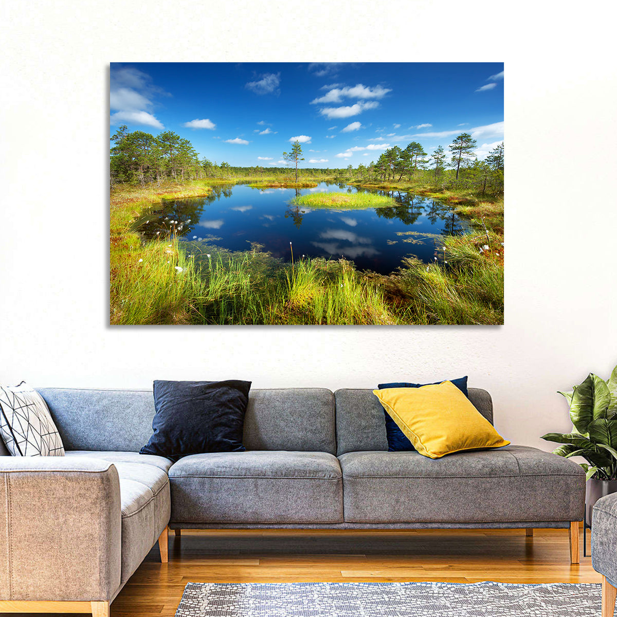 Viru Bogs Reflections Wall Art in a room, landscape