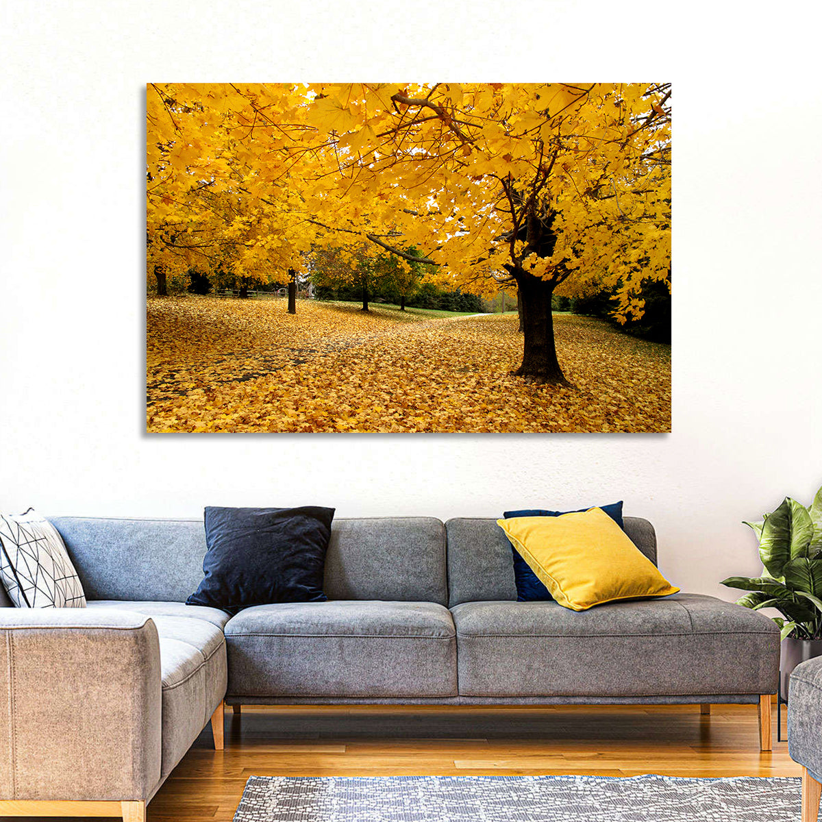 Baltimore Autumn Foliage Wall Art