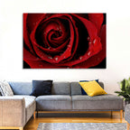Red Rose with Dew Drops Wall Art
