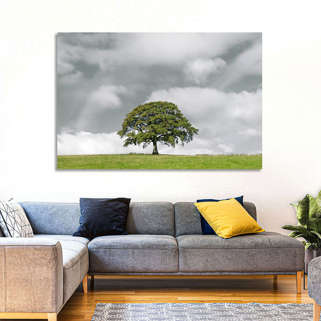 Solitary Oak in Meadow Wall Art