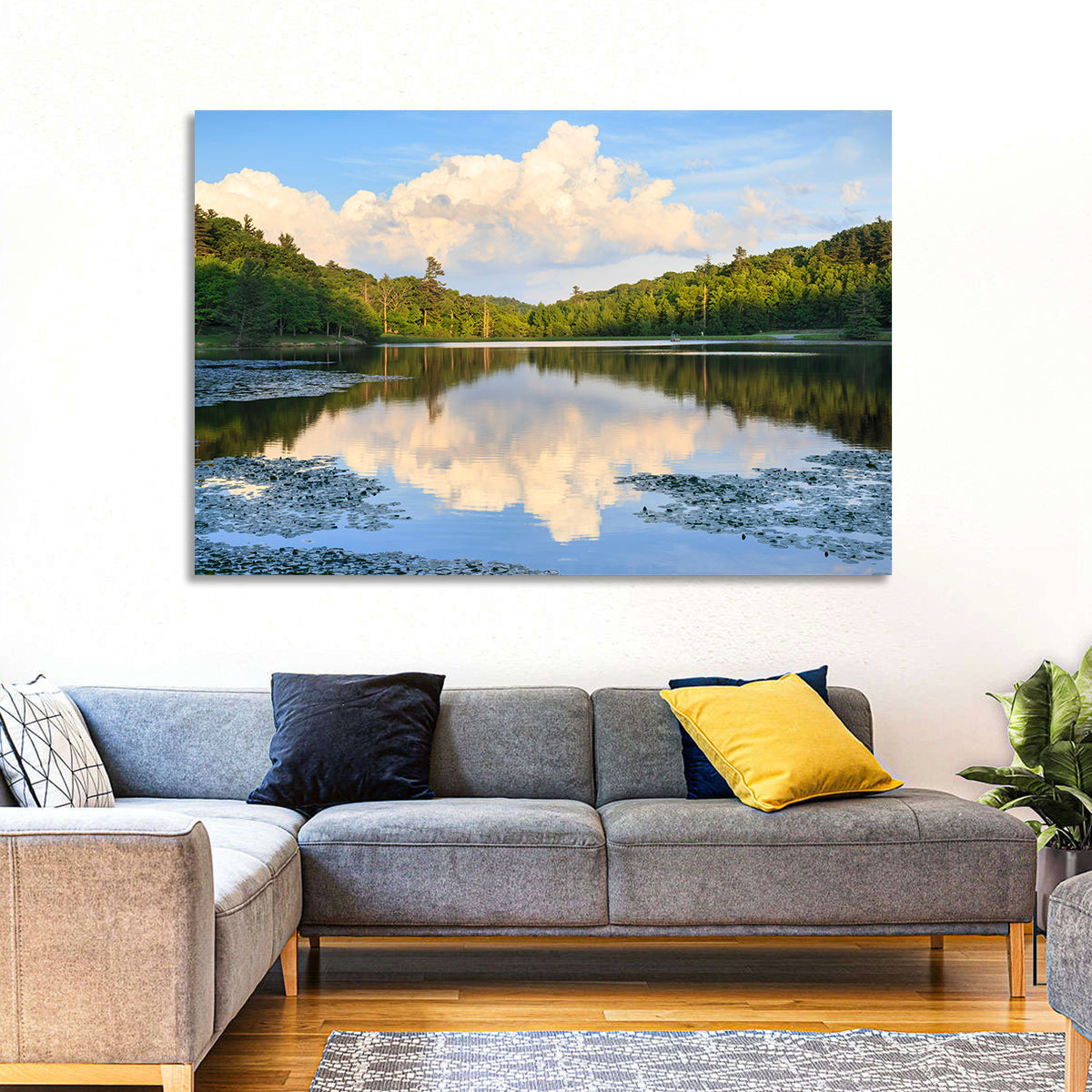 Bass Lake Reflection Wall Art in a room, landscape