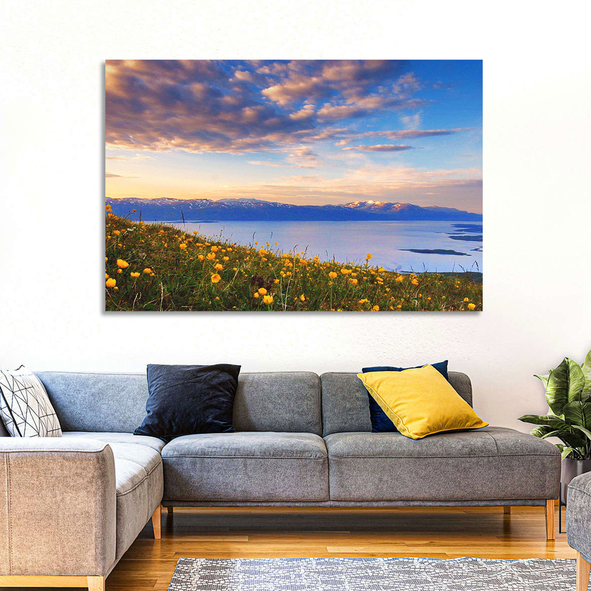 Abisko National Park Sunrise Wall Art in a room, landscape